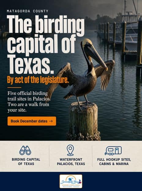 The birding capital